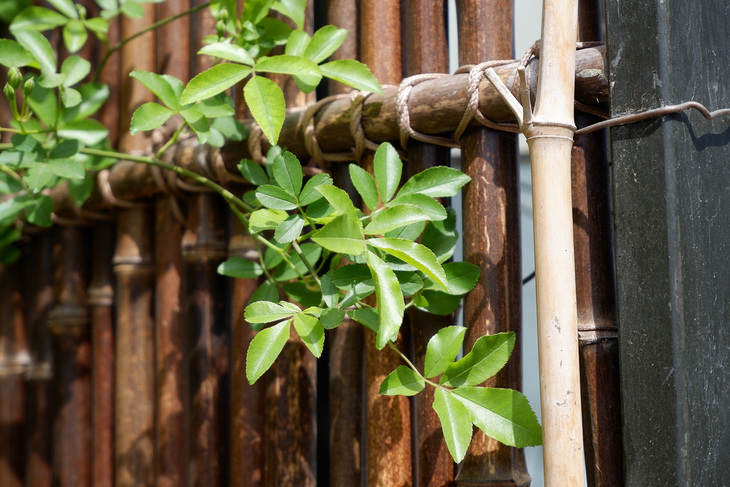 富士X-A5微单评测！不仅能美颜自拍ISO6400感光度画质也很纯净
