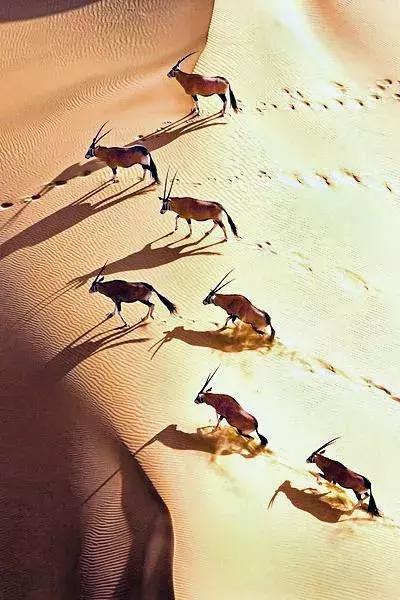 超有气氛的集体照图片,刚拍的你从未见过的集体照