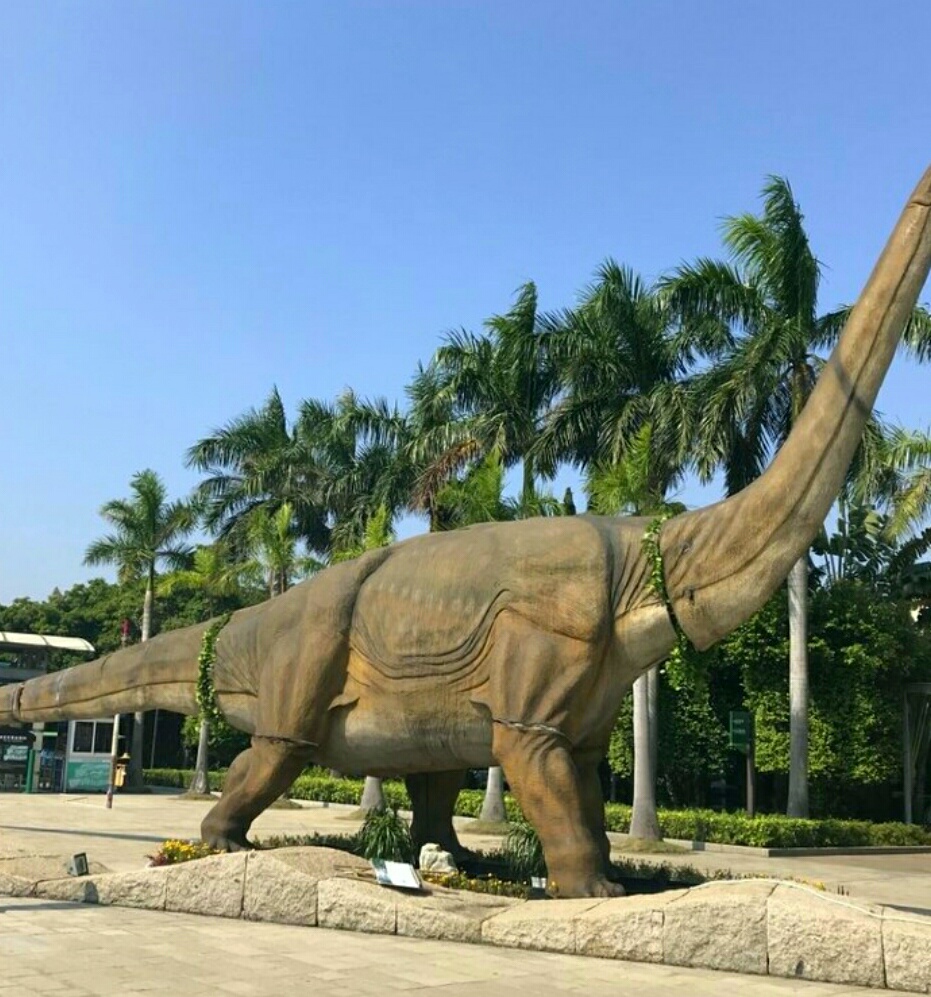 深圳海上田园怎么样,深圳海上田园景区