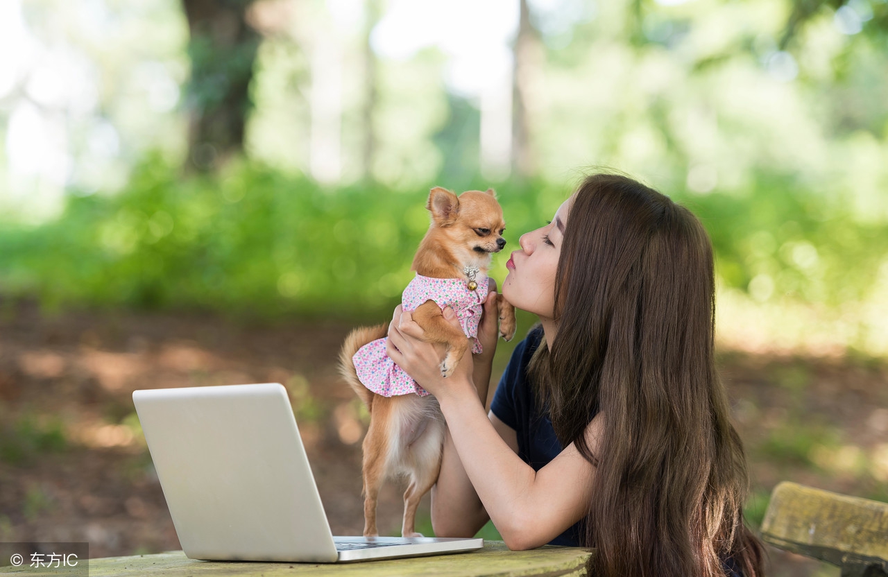 唯美爱情经典诗句英文,古诗爱情诗句英文翻译