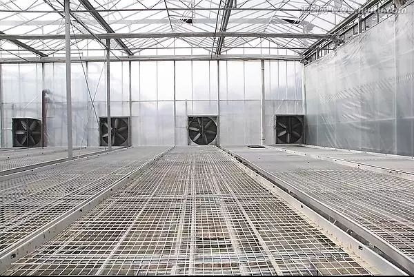 无土栽培的设施和建造,常见的无土栽培设施类型有哪些