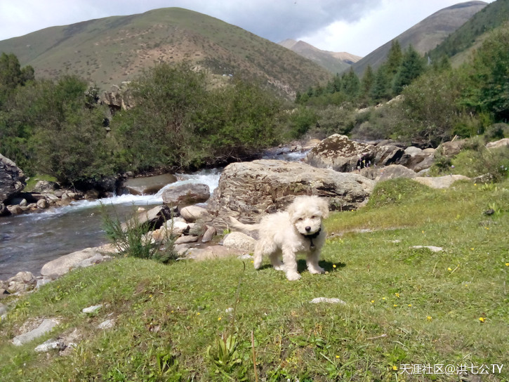 一个人、一只狗、一辆小踏板，风雨30天去*藏西**的故事（四）