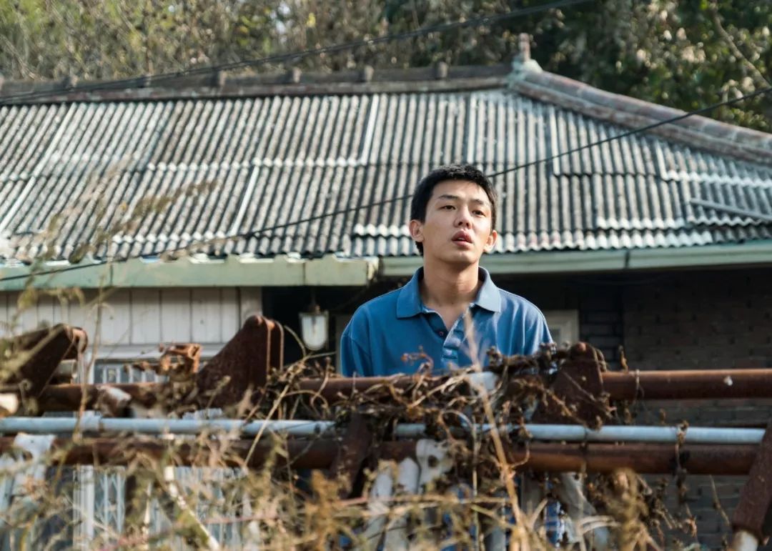 李沧东什么梗,李沧东的燃烧解析