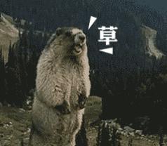 少女的第一次来潮，导致了整个学校血流成河！