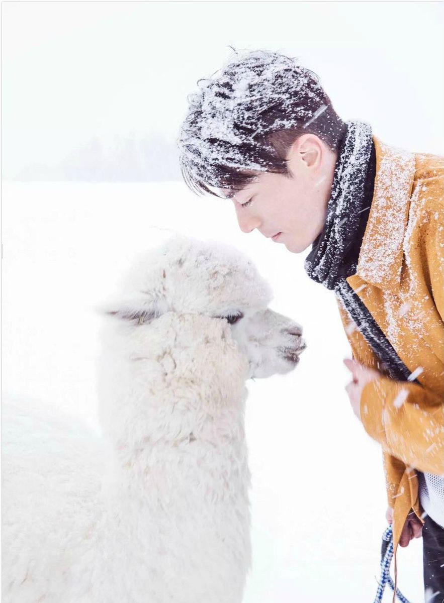 睫毛精秘诀,日常最简单睫毛变多密方法