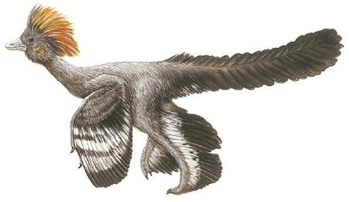 侏罗纪公园有多少只迅猛龙,侏罗纪系列迅猛龙进化史