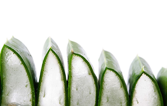 鑺﹁崯鍔犻儊缇庡噣闈㈣啘,鑺﹁崯琛ユ按淇闈㈣啘