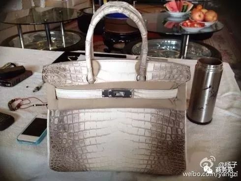 女强人范冰冰黄圣依,黄圣依各种凹造型