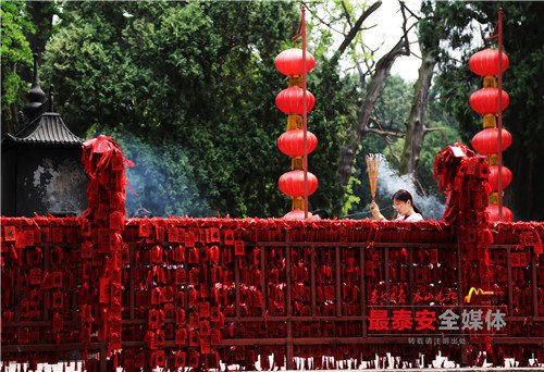 总有一张照片打动你,总有一张照片感动你