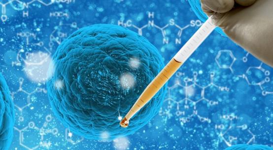 世界杯足球失误爆笑解说,足球世界杯十大惨案