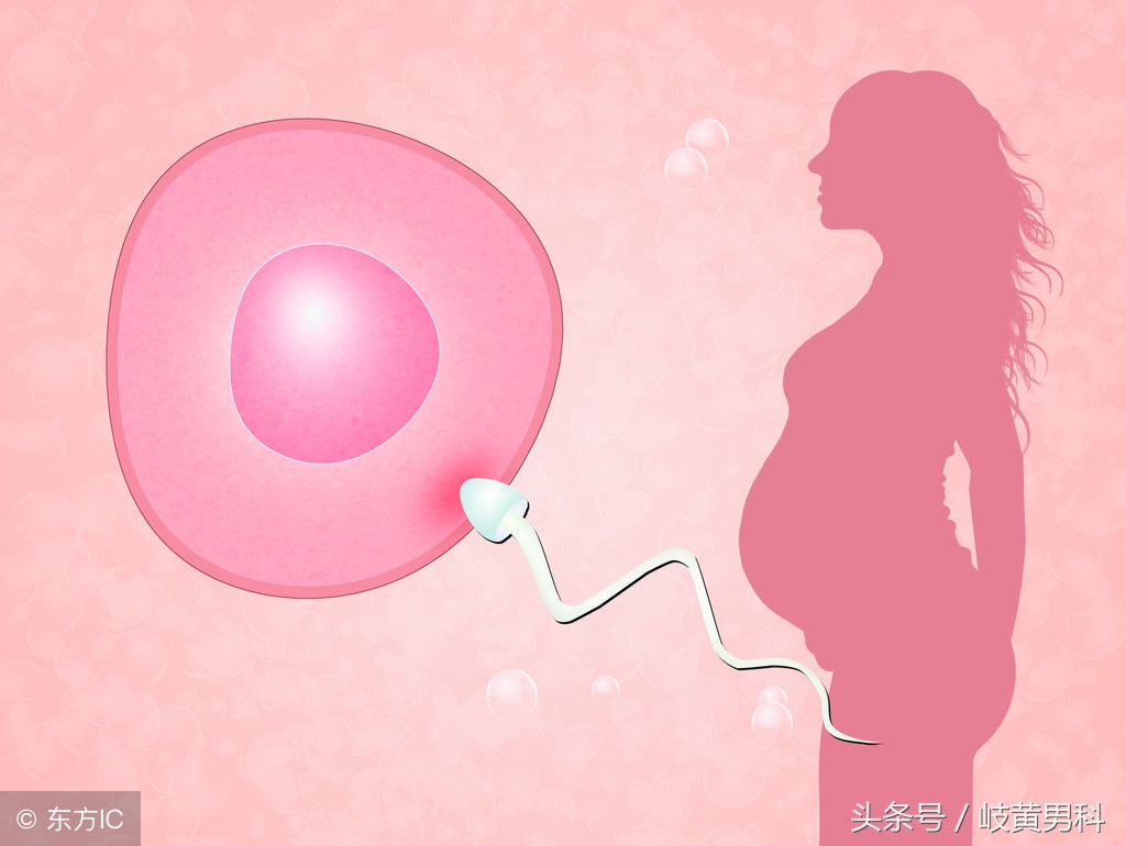 备孕不走弯路这三招就够了,备孕不难这些备孕诀窍是关键