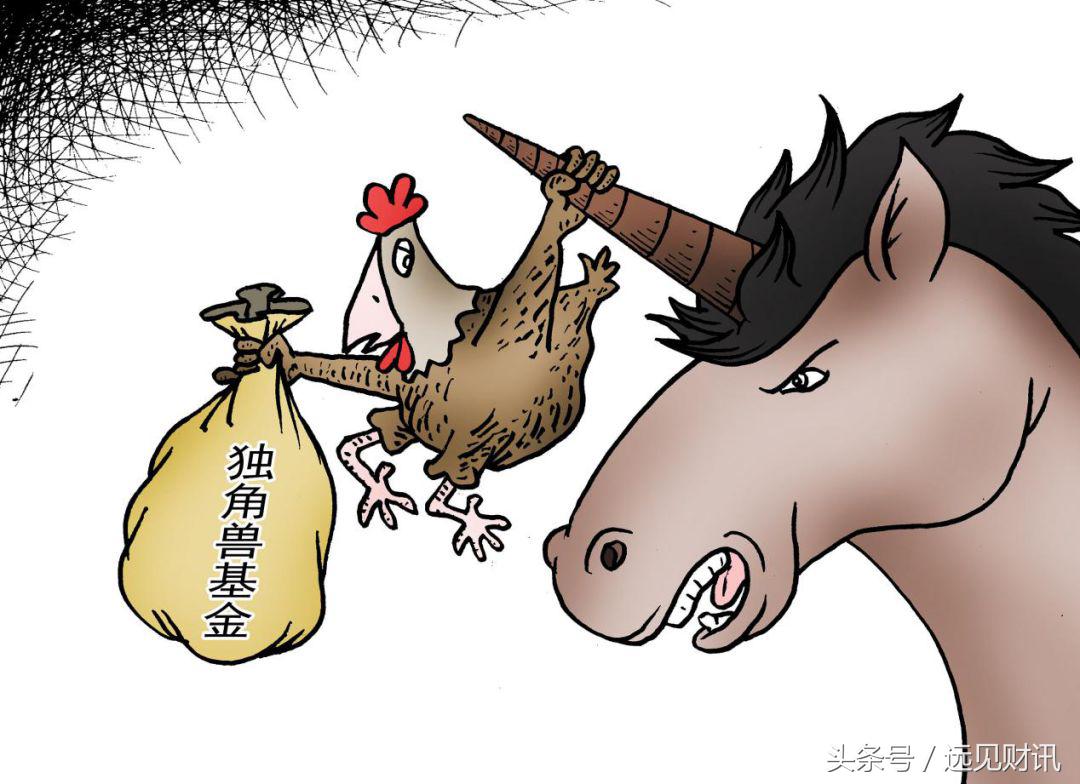 独角兽基金赔了还是赚了,选哪个独角兽基金比较好