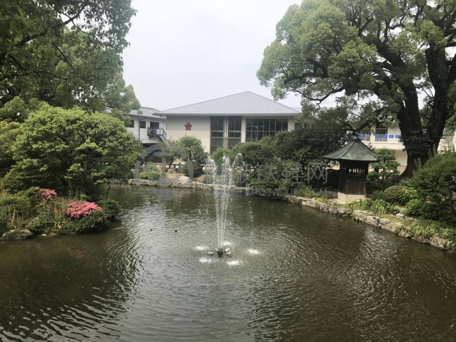 诺唯真喜悦号游记攻略,诺唯真喜悦号旅游报价