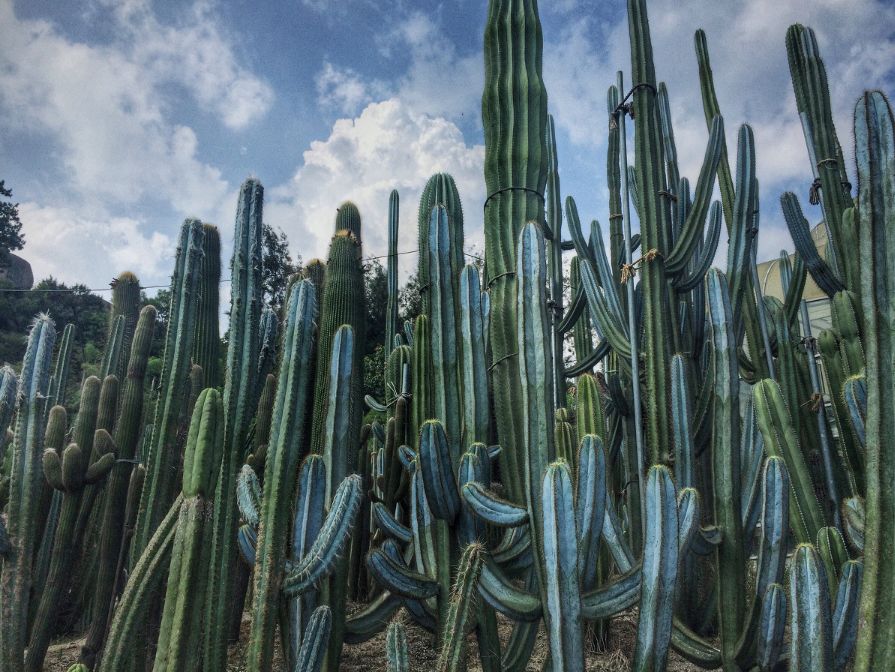 四月适合旅游的地方,四月旅游最好的去处