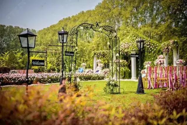 郑州周边夏天好玩的景点,郑州夏天旅游攻略景点必去