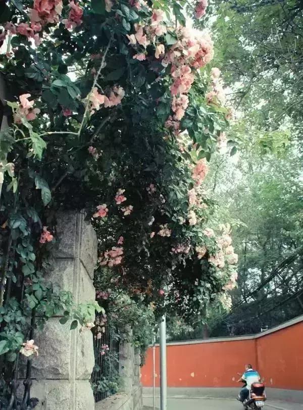 郑州适合夏天玩的旅游景点,郑州夏天旅游景点推荐