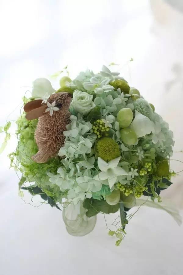 永生花注意事项图,永生花的鉴别方法