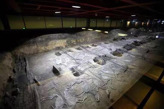 高考生优惠景区,高考生福利湖北