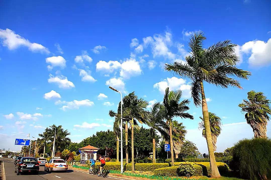 这个夏天总要来一趟浪漫的厦门,这个夏天再和你去一次厦门