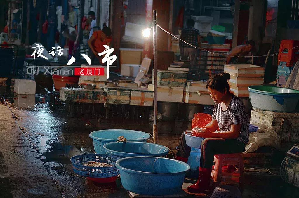 这个夏天总要来一趟浪漫的厦门,这个夏天再和你去一次厦门