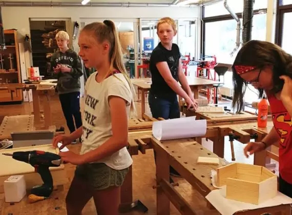 杨东平讲丹麦教育,杨东平权威吗