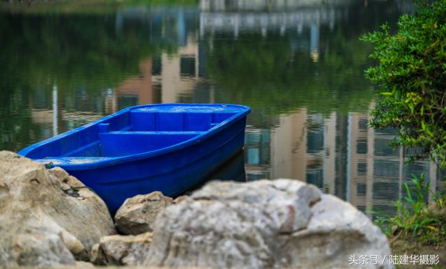 粽情端午南通,粽情端午邻里相约