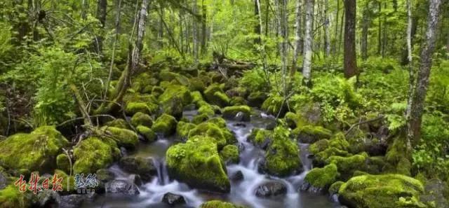 深读，这就是延边！这里有一个22℃的夏天，还有……