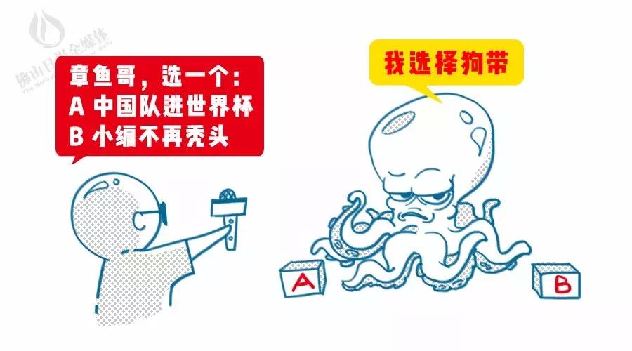 不懂足球也看欧洲杯,不懂足球也可以很快乐