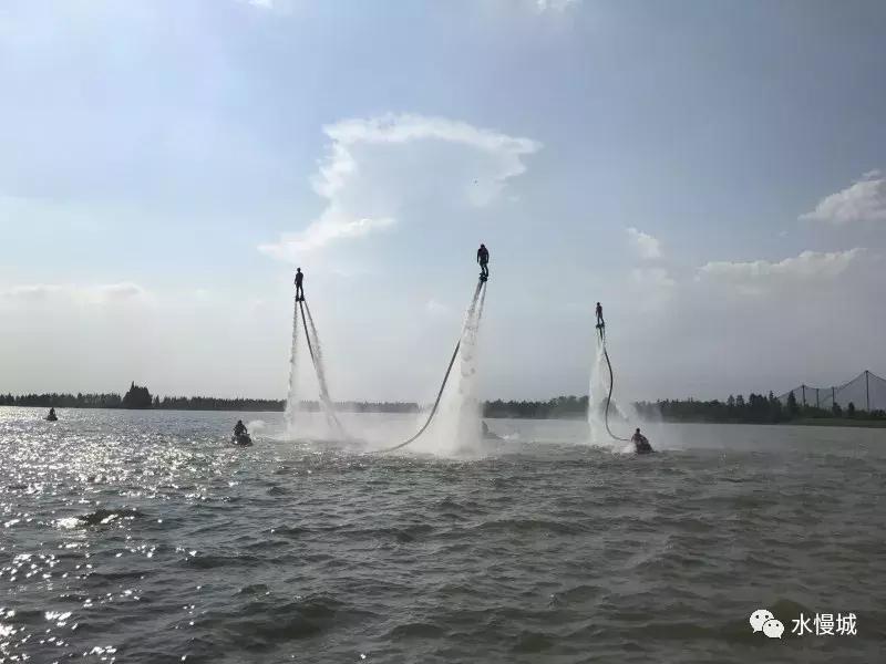 荷你有约金湖音乐节,荷你有约开学典礼