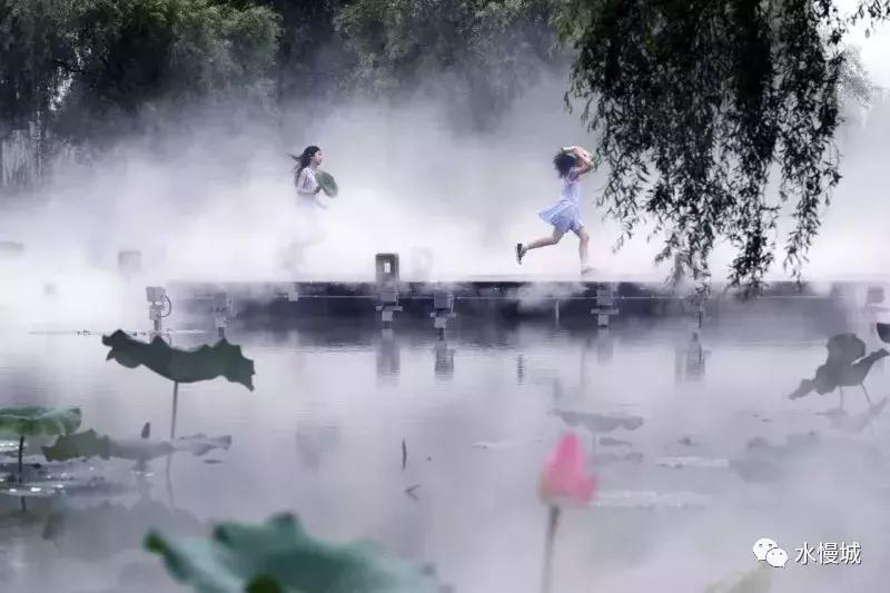 荷你有约金湖音乐节,荷你有约开学典礼