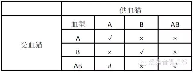 猫血型,猫的血型