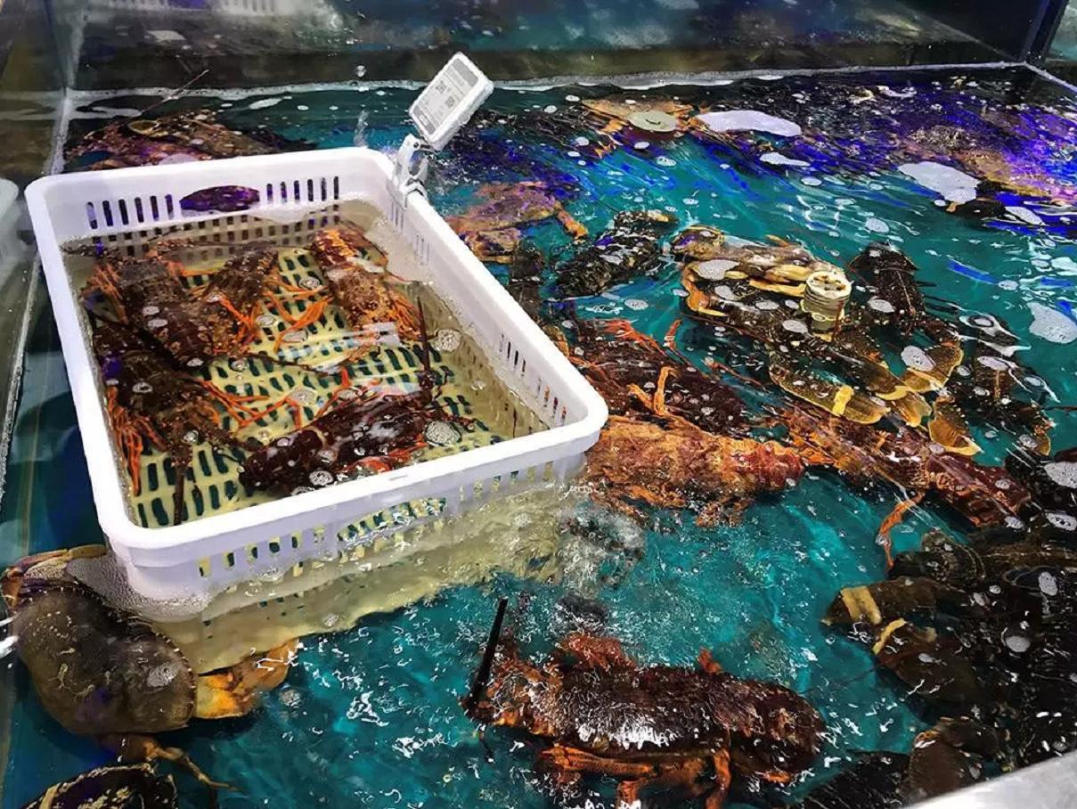 小屏大作！2018优酷生态世界杯漫游指南