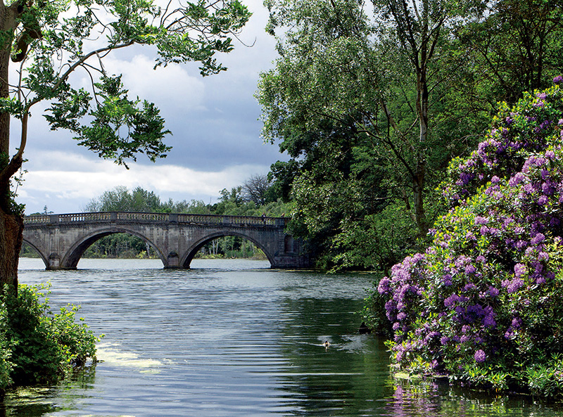 拍照迅速出片,单反相机的相片迅速出片