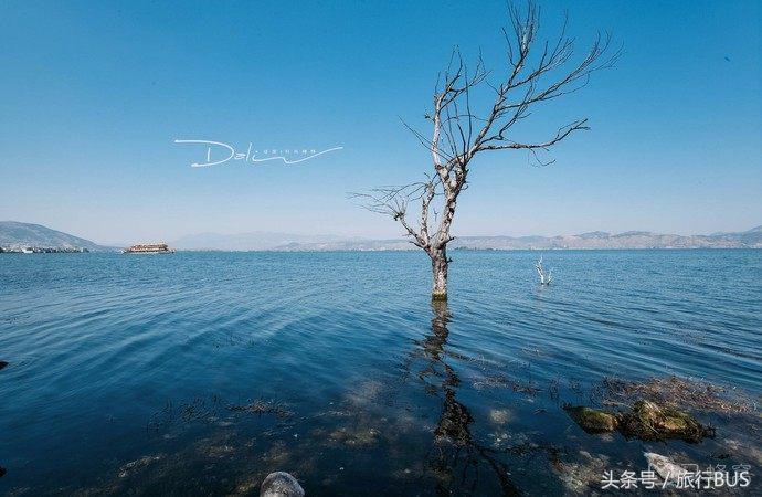 去了洱海之后去哪,洱海环湖骑车攻略