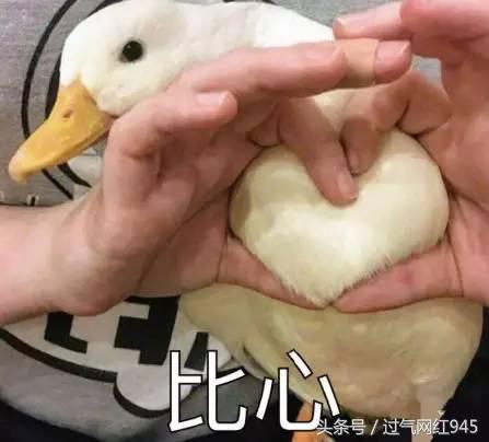 这些表情包你看完还敢用吗,这些表情包都将成为我说话的工具