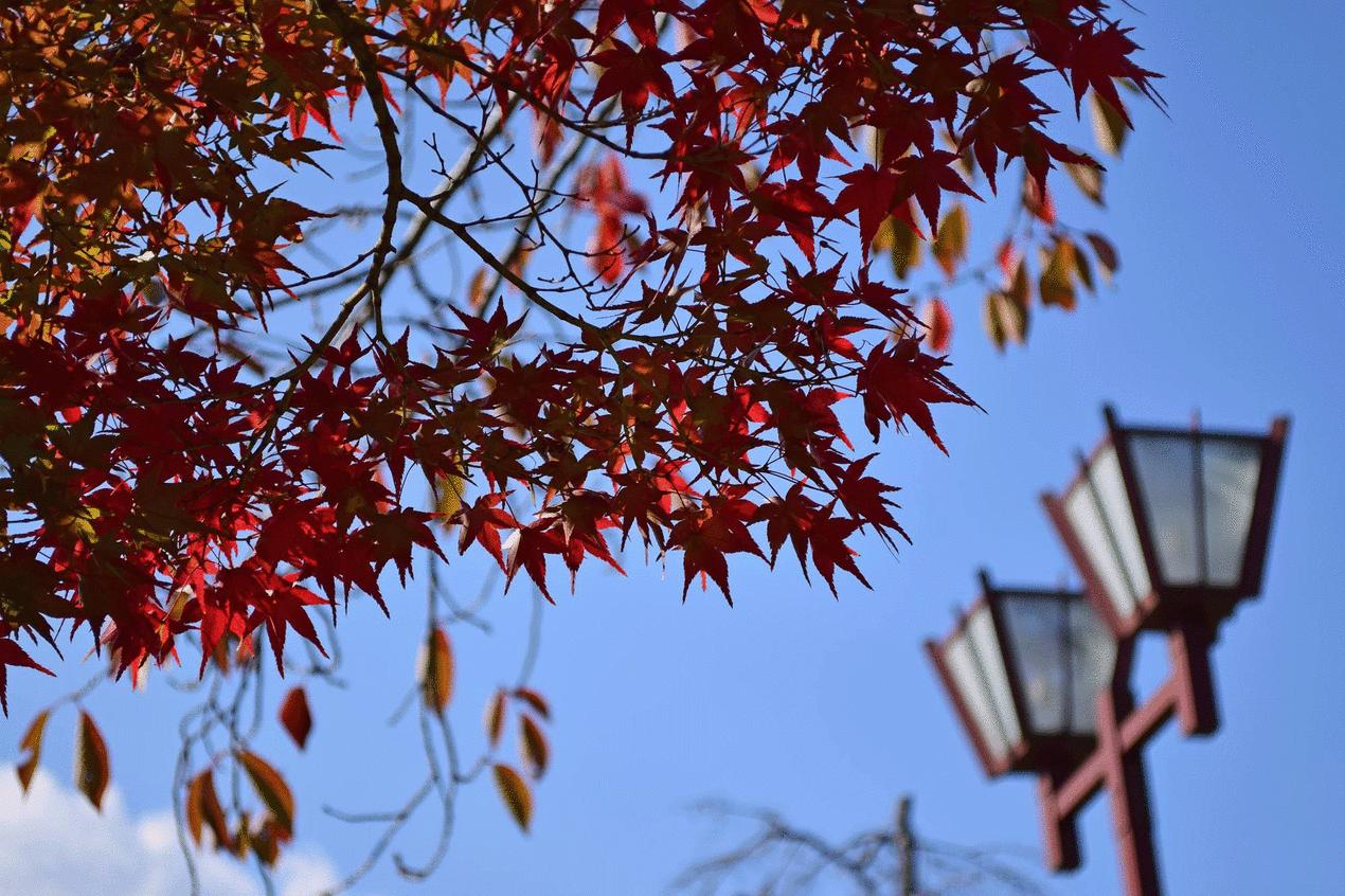 尼康d5300镜头18-55和18-105,尼康d530018-105会不会太重