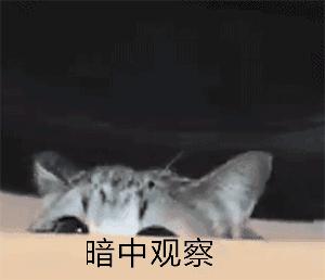 世界足坛十大不可思议进球,世界杯足球十大绝佳进球