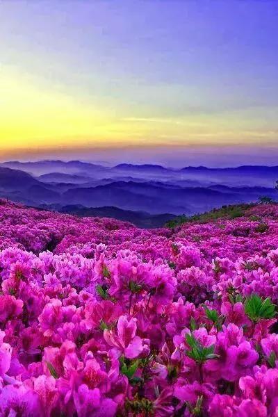 14张会动的照片,会动的照片大全大图