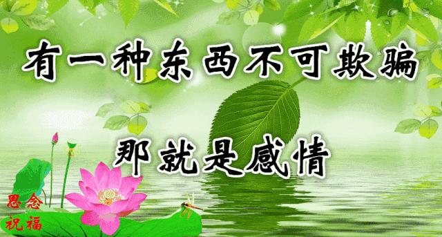 14张会动的照片,会动的照片大全大图