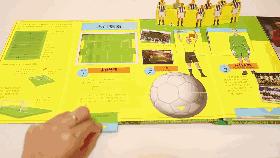 世界杯足球立体书,世界杯知识书