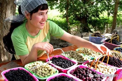 南疆最好吃的瓜果,新疆瓜果什么最好吃又便宜