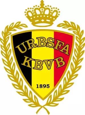 世界杯看球指南全集,球迷必备的世界杯看球指南