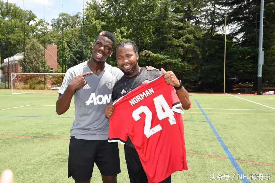 橄榄球和足球世界杯,橄榄球世界杯最新