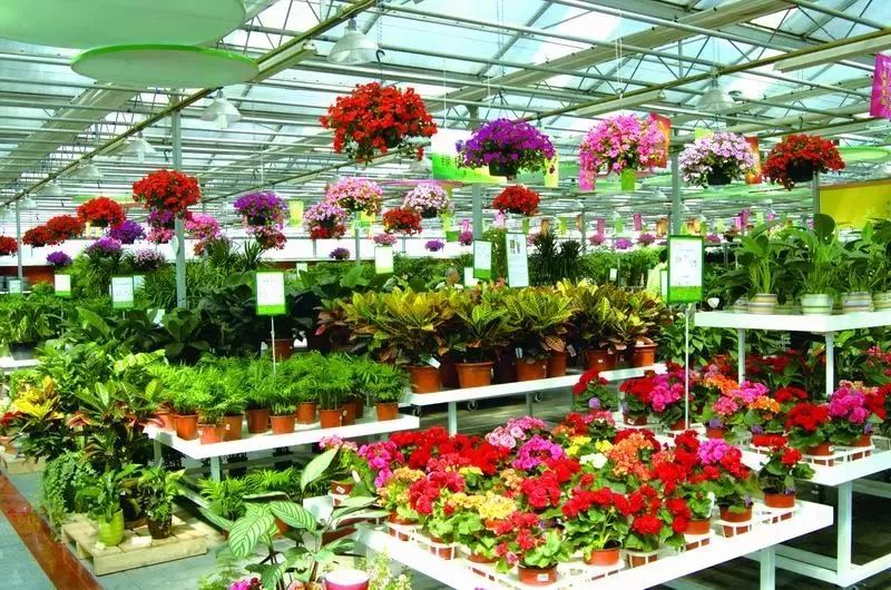 花乡哪天开始无新增,花乡卖不掉的二手车怎么处理