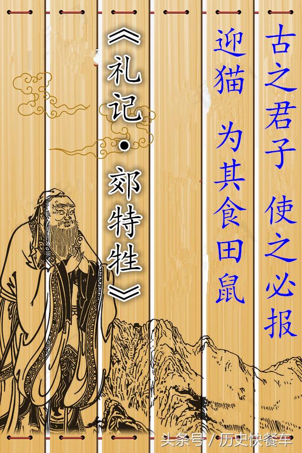 喵星人的变化史,喵星人养猫13年经验分享