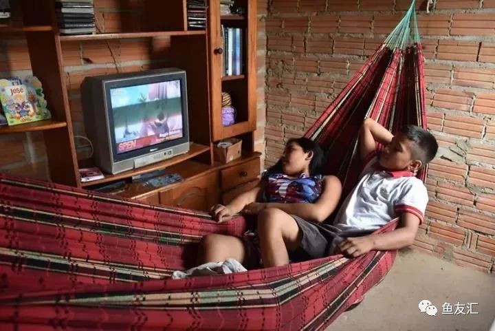 特隆贝塔如何饲养,特隆贝塔半皇与红彩区别