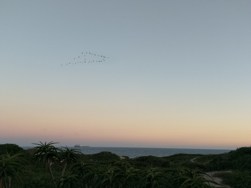 难得的惬意时光周末,享受周末这悠闲惬意的时光