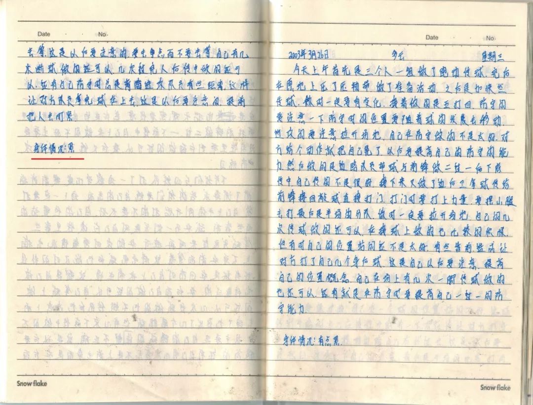 日记踢球范文,日记足球篇