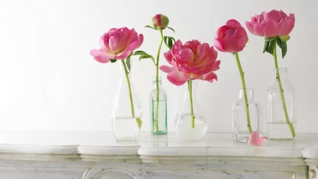 端午时节粽子飘香,端午时节粽香四溢