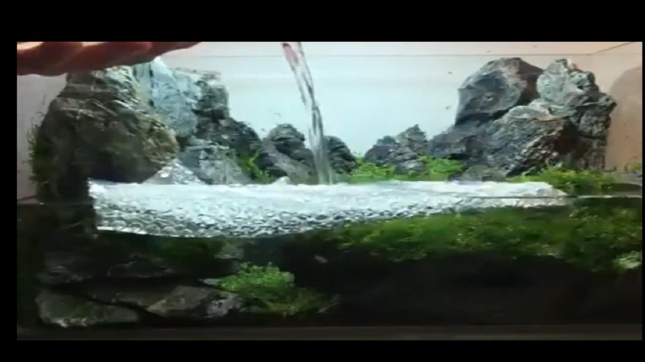 40*40原生莫斯草缸造景作品,鱼缸造景效果图草缸怎么才能通透